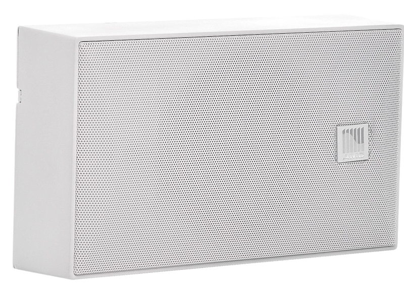 Громкоговоритель настенный AMC iSpeak 5 White (RAL9016) артикул 231164Si-1