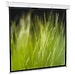 Экран ScreenMedia Goldview 171*171 HCG (SGM-16902)