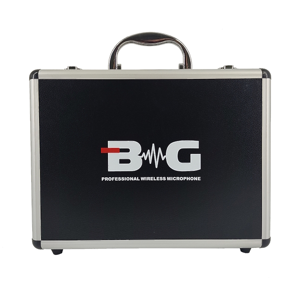 Радиосистема BG PR-8 артикул 308986Si-1 фото 4