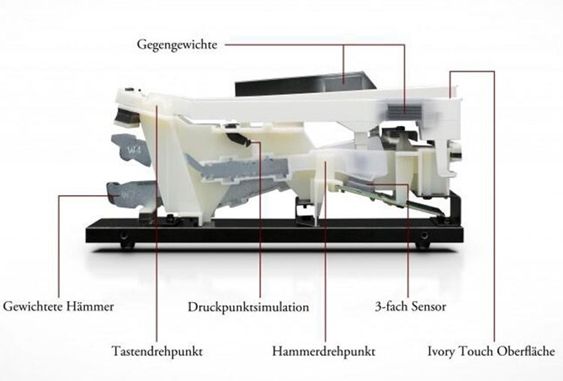 Клавишный инструмент Kawai CN25R артикул 136207Si-1 фото 5