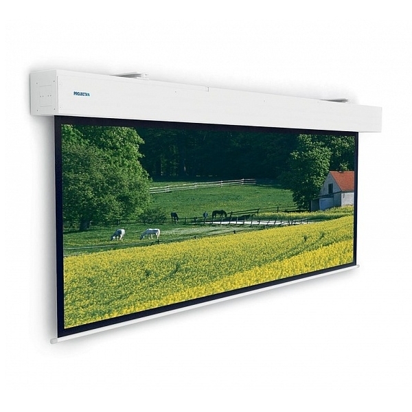 Экран Projecta Elpro Large Electrol 316x500 см (227") Matte White с эл/приводом (10100338) артикул 359351FV-1