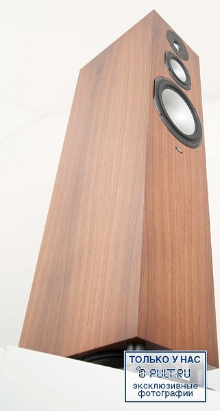 Chario Syntar 533 walnut артикул 400293FV-1 фото 11