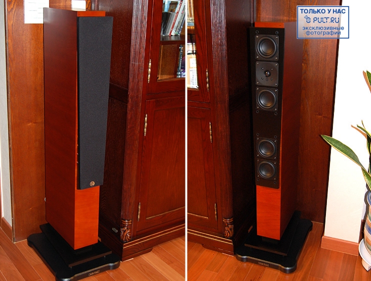 Акустическая система System Audio SA Ranger black артикул 396420FV-1 фото 5