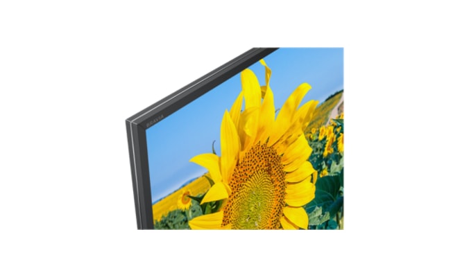 LED телевизор Sony KD-49XF8096BR2 артикул 176146Si-1 фото 5