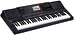 Клавишный инструмент Casio MZ-X300