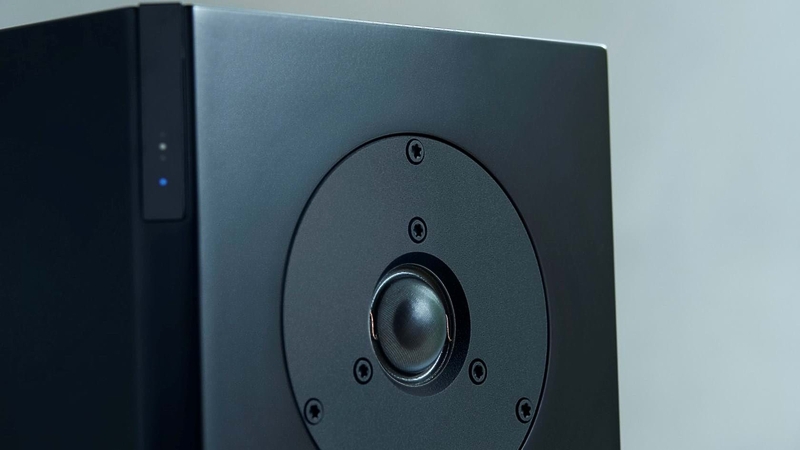 Полочная акустика Dynaudio FOCUS 20 XD Grey Oak High Goss артикул 164835Si-1 фото 10