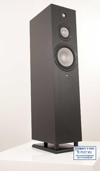 Chario Syntar 533 black ash артикул 400322FV-1 фото 3