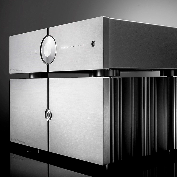 Усилитель мощности Audio Analogue Donizetti Anniversary Silver артикул 292076Si-1 фото 6