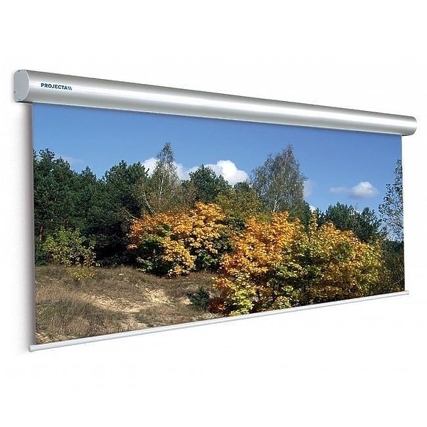 Projecta Master Electrol 300x400см (197") Matte White с эл/ артикул 348850SI-1