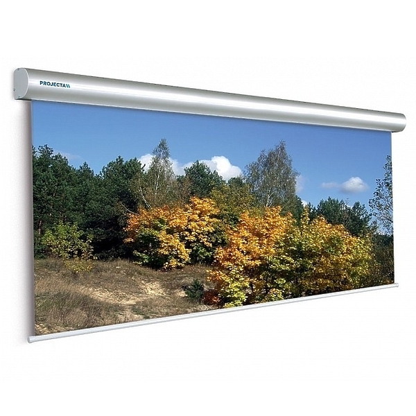 Экран Projecta Master Electrol 300x400см (197") Matte White с эл/приводом 4:3 (10130230) артикул 359260FV-1