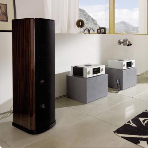 T+A TCD 110 S Macassar ebony артикул 341332SI-1