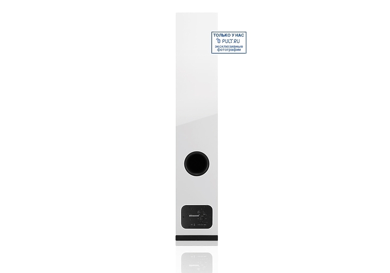Активная акустика Dynaudio Xeo 5 white piano lacquer артикул 397623FV-1 фото 3