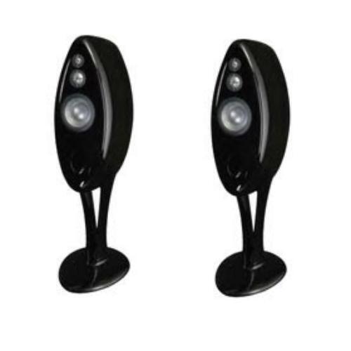 Напольная акустика Vivid Audio OVAL B1 borollo артикул 113341Si-1 фото 3