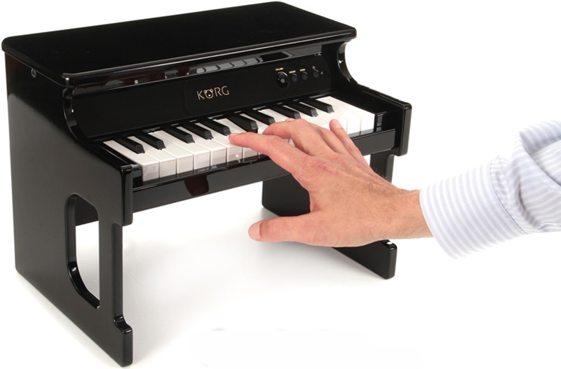 Клавишный инструмент KORG TINYPIANO BK артикул 136267Si-1 фото 3