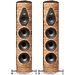 Напольная акустика Sonus Faber Olympica Nova V walnut