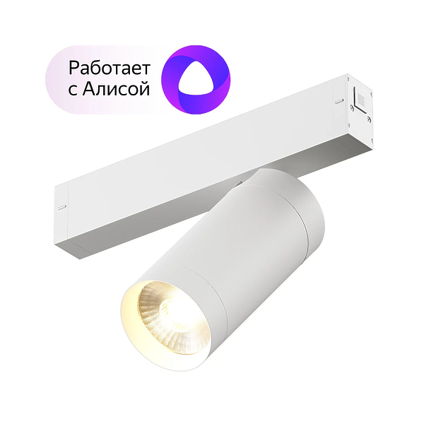 Светильник акцентный Denkirs DK8020-WH (White) артикул 270792Si-1
