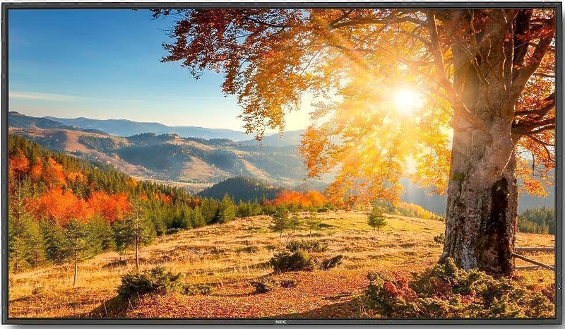 Nec X754HB в «HiFiRussia»