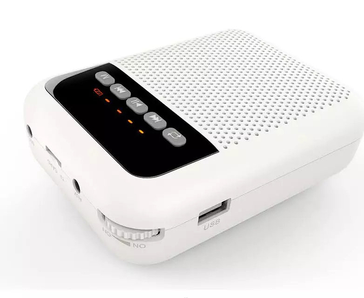 Мегафон L Audio WS-VA030 артикул 285600Si-1 фото 3