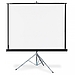 Экран Draper Diplomat AV (1:1) 70/70" 178*178 MW (XT1000E)
