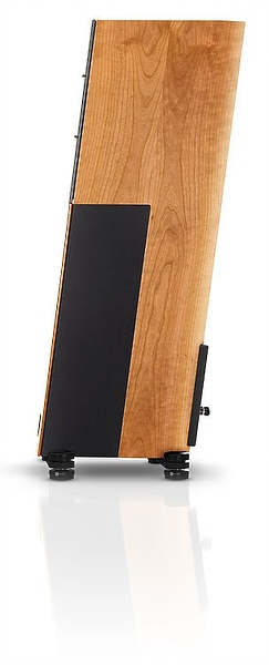 Напольная акустика Audio Physic Avantera III Black Ash артикул 162845Si-1 фото 3