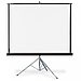 Экран Draper Diplomat NTSC (3:4) 305/120" 175x234 MW (мобильный)