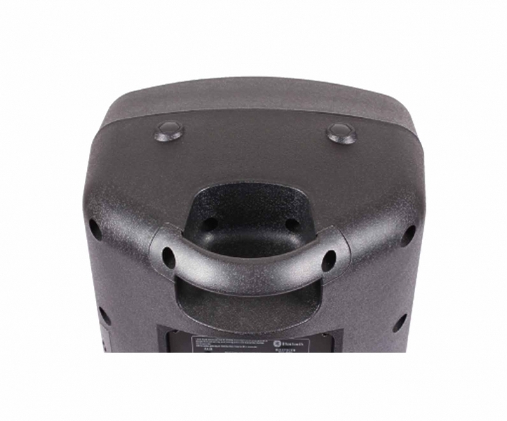 Акустическая система BLG BP13-08A10 артикул 210405Si-1 фото 7