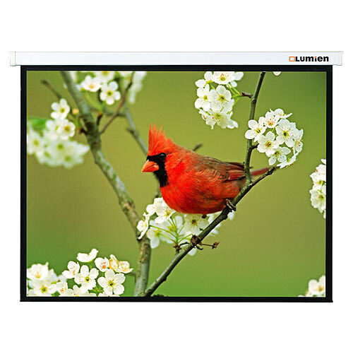 Экран Lumien Master Portable 163x137 см (раб. область 75х133 см) (60") Matte White FiberGlass артикул 110996Si-1