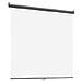 Экран Classic Solution Classic Scutum 70"х70" 180x180 (W 180x180/1 MW-LS/T)
