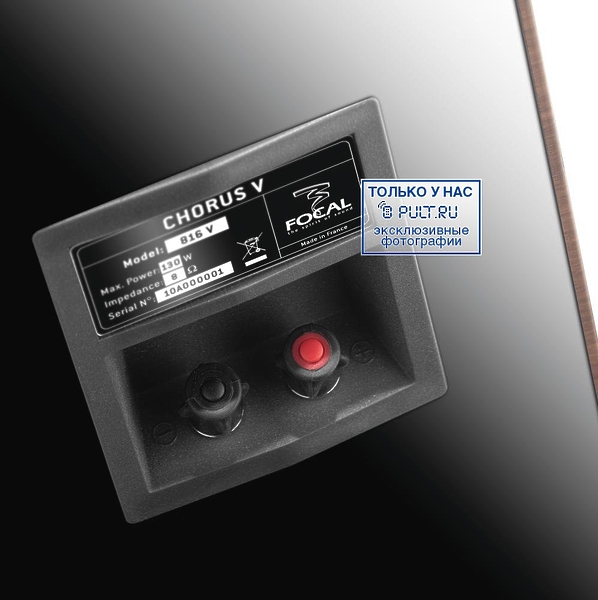 Напольная акустика Focal-Jmlab Chorus 816 V moka артикул 396164FV-1 фото 4