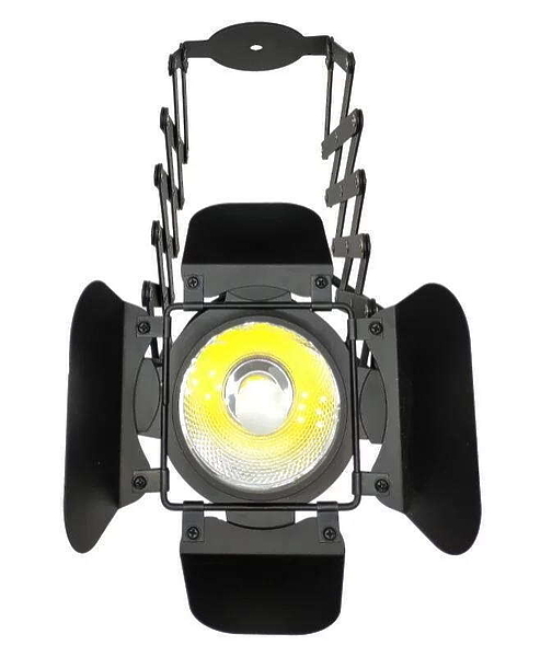 Cветодиодный прожектор Estrada PRO LED PAR COB 50 LOFT артикул 204052Si-1