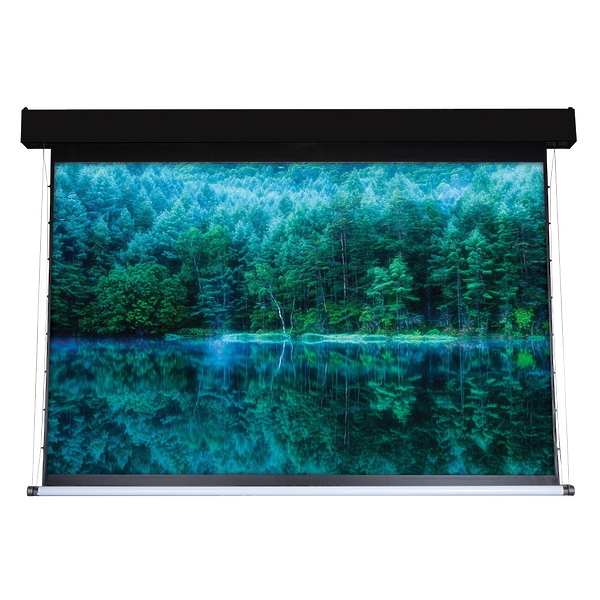 Экран Viewscreen Antis Pro ANP-4303 артикул 310312Si-1