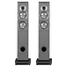 Напольная акустика Sonus Faber Principia 5 (black)