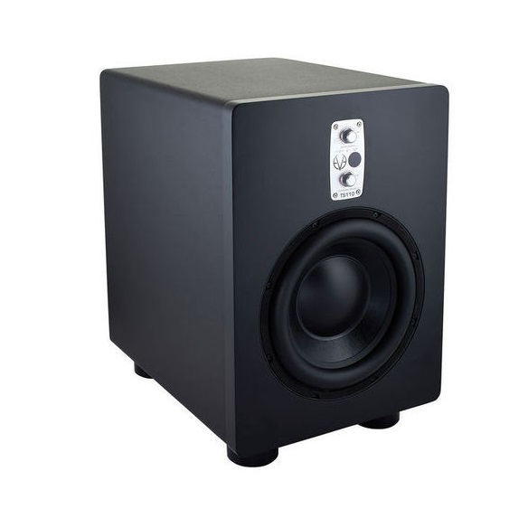 Студийный монитор EVE Audio TS110 артикул 284987Si-1 фото 5
