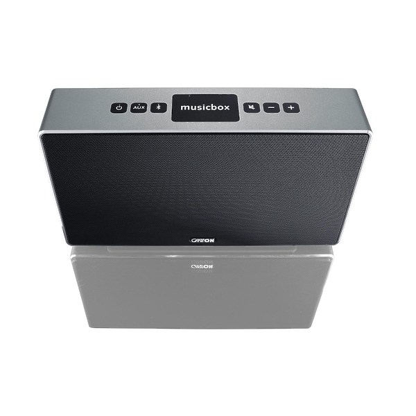 Canton Musicbox S titan #1 в «HiFiRussia»