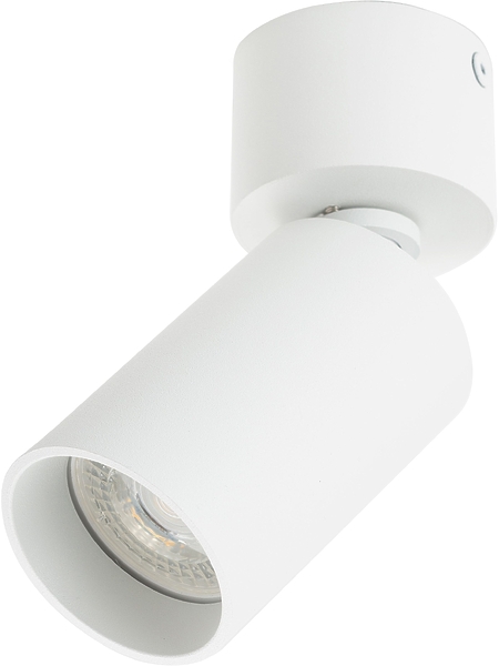 Светильник накладной Denkirs DK2029-WH (White) артикул 270496Si-1