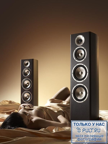 Акустическая система Quad 21 L2 Piano Black артикул 398354FV-1 фото 4