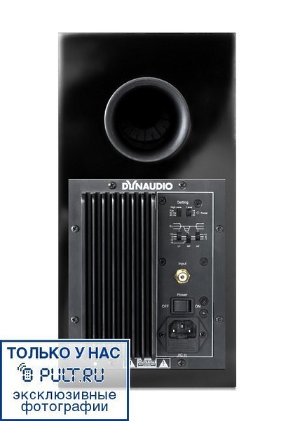 Акустическая система Dynaudio Focus 110 A maple артикул 443800FV-1 фото 7