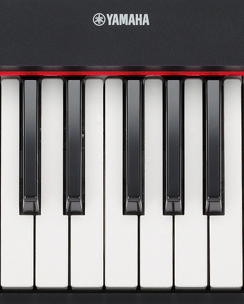 Клавишный инструмент Yamaha NP-31 Piaggero артикул 136539Si-1 фото 5
