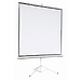 Экран Digis DSKA-4305 (Kontur-A, формат 4:3, 114", 180*240, MW)