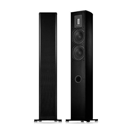 Напольная акустика Piega Premium 701 Wireless AB артикул 193770Si-1