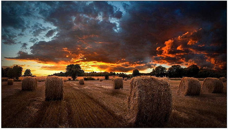 LED панель Samsung VM46T-U артикул 251949Si-1 в интернет-магазине «HiFiRussia»