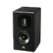 Полочная акустика Castle Avon 1 black oak