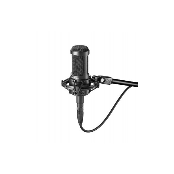 Audio Technica AT2050 артикул 132017Si-1