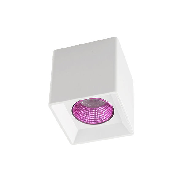 Светильник накладной Denkirs DK3080-WH+PI (White Pink) артикул 270664Si-1