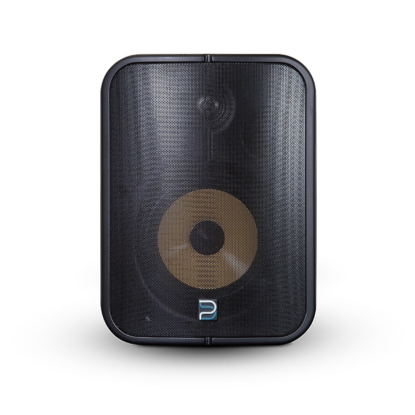 Акустическая система Bluesound BSP1000 BLK артикул 310013Si-1