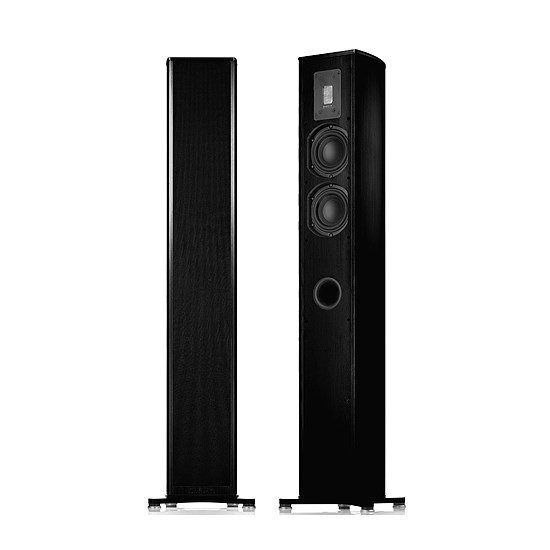 Напольная акустика Piega Premium 501 Wireless AB артикул 193773Si-1