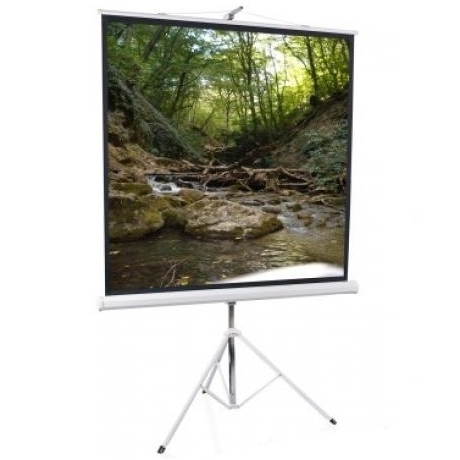 Экран ScreenMedia Apollo 203*153 MW (SAM-4303) артикул 113354Si-1