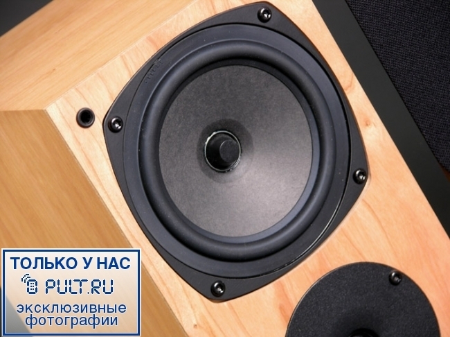 Акустическая система Rega RS1 black ash артикул 443653FV-1 фото 3