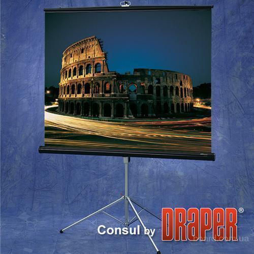 Экран Draper Diplomat NTSC (3:4) 244/96" (100", 8') 152*203 XH800E артикул 110836Si-1 фото 3