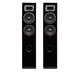 Напольная акустика Davis Acoustics Stentaure Serie 30 black piano